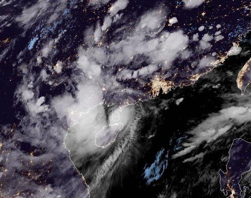 最新台风爆料视频大全集,视频大全集深度解析